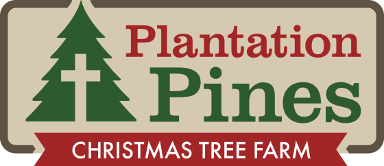 Plantation Pines Christmas Tree Farm