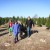 dad-and-kids-with-freshly-cut-tree