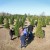 picking-out-christmas-trees-wide-view